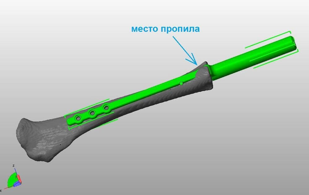 Технология 3D-проектирования и печати для изготовления индивидуальных имплантов для ветеринарии.